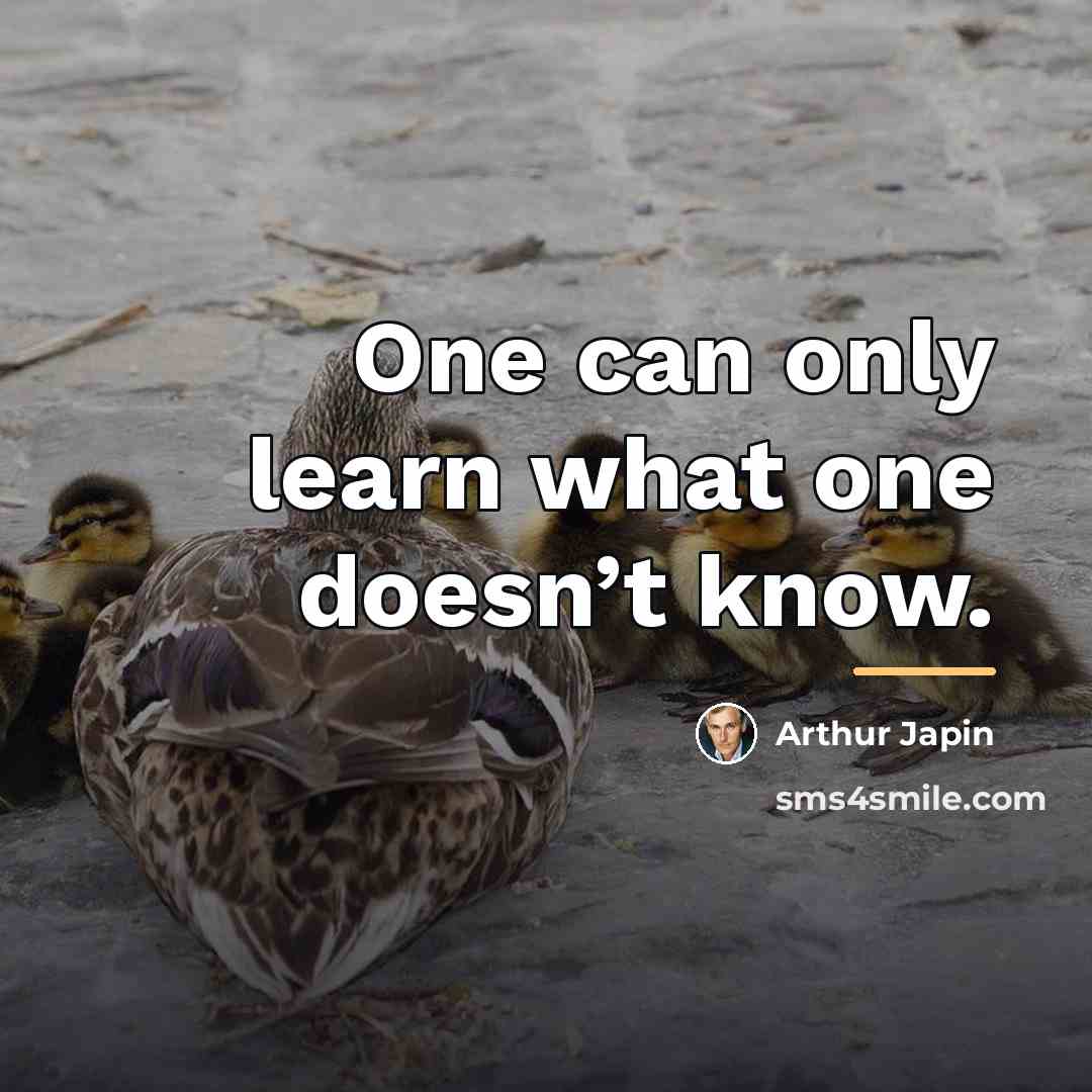 “One can only learn what one doesn’t know.…” quote by Arthur Japin