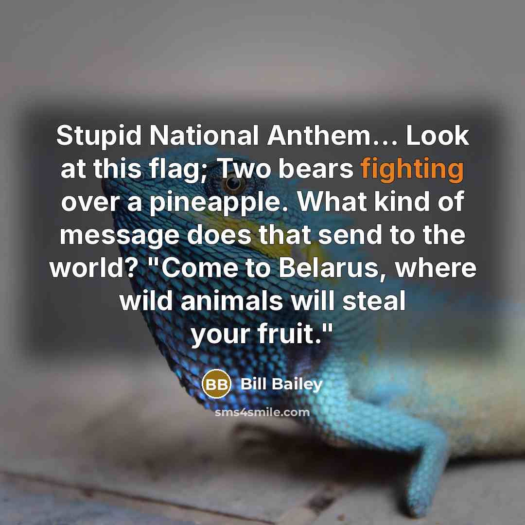“Stupid National Anthem... Look at this flag; Two bears fighting…” quote by Bill Bailey