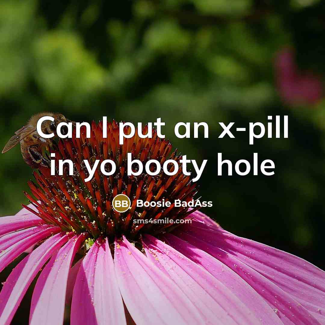 “Can I put an x-pill in yo booty hole…” quote by Boosie BadAss