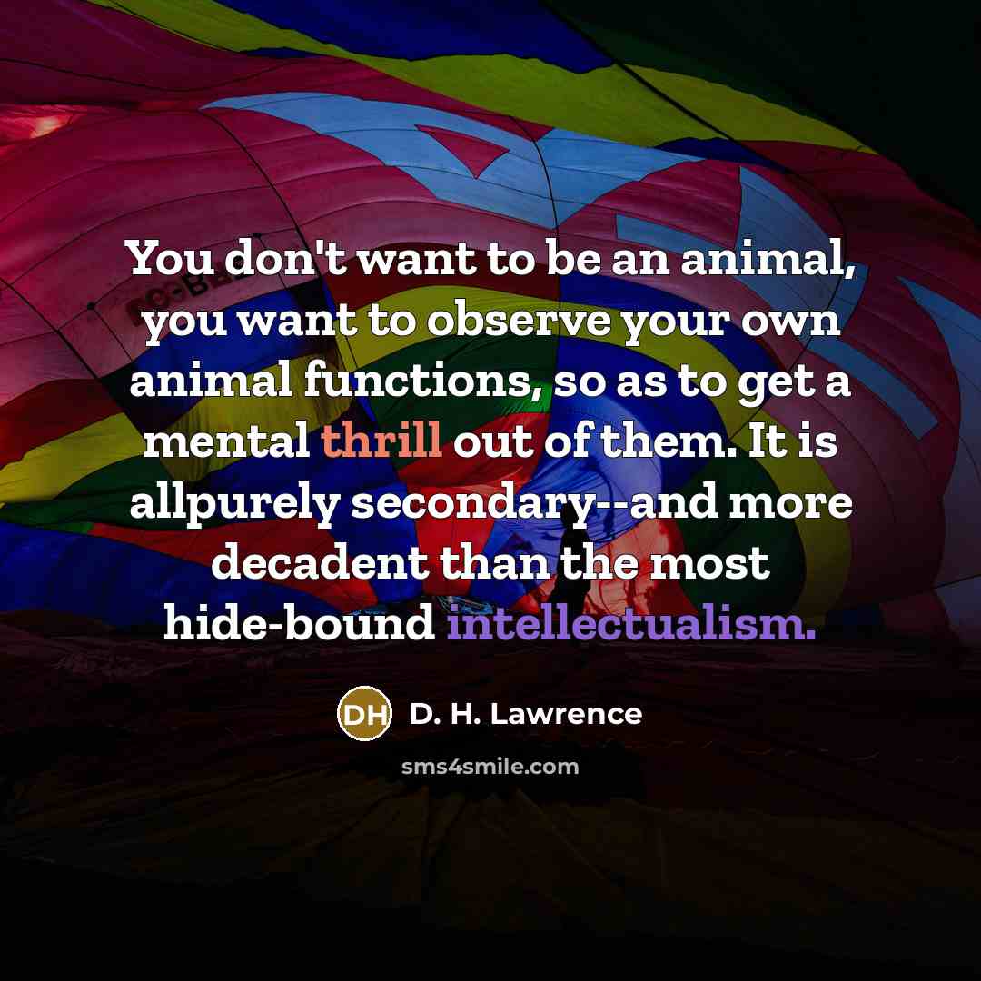 “You don't want to be an animal, you want to…” quote by D. H. Lawrence