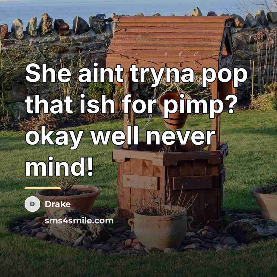 “She aint tryna pop that ish for pimp? okay well…” quote by Drake