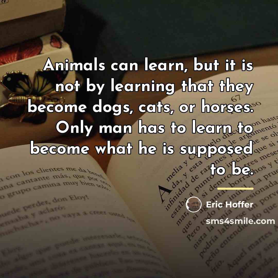 “Animals can learn, but it is not by learning that…” quote by Eric Hoffer