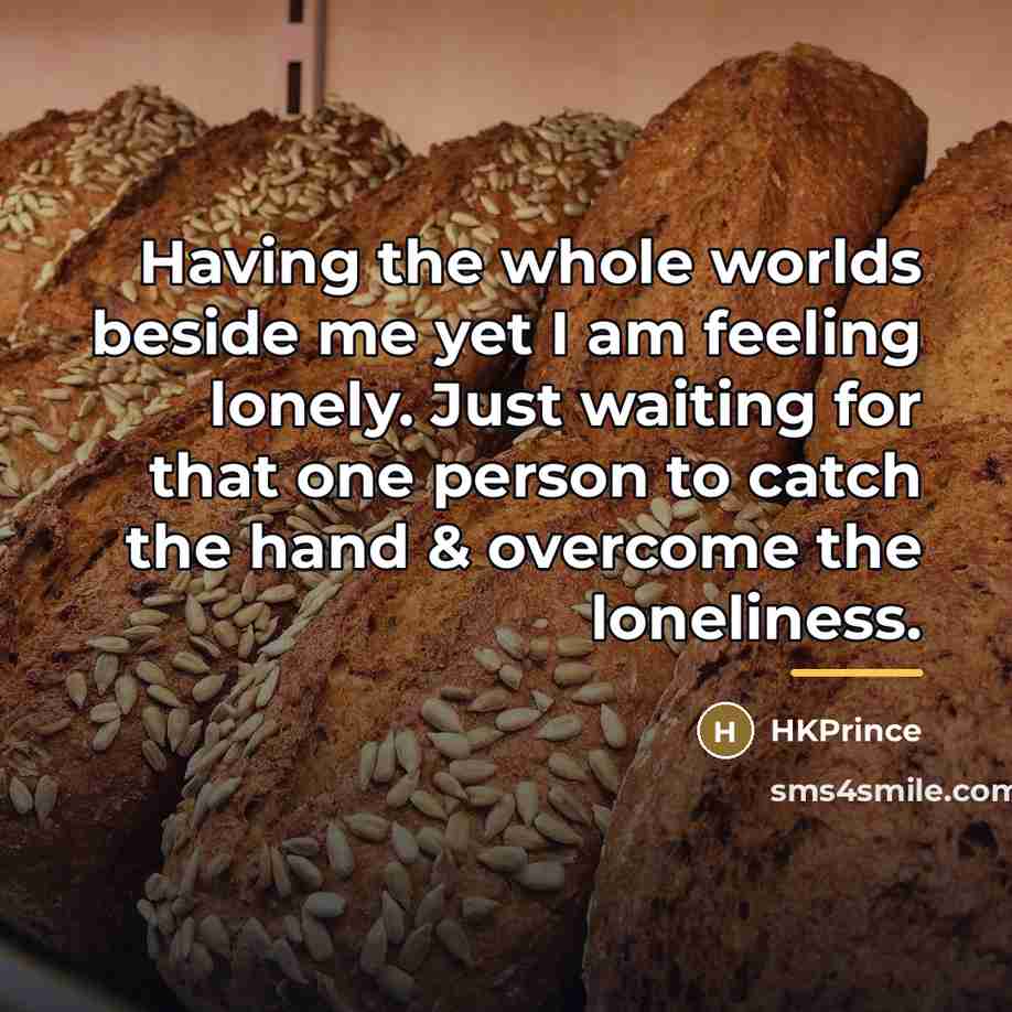 “Having the whole worlds beside me yet I am feeling…” quote by HKPrince