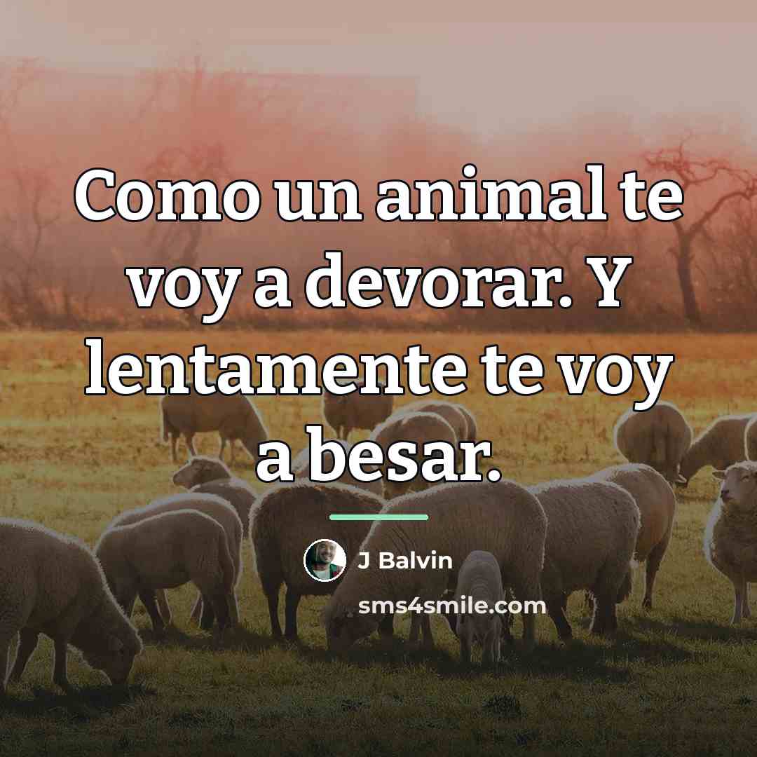 “Como un animal te voy a devorar. Y lentamente te…” quote by J Balvin