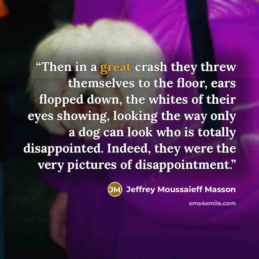 “Then in a great crash they threw themselves to the floor, ears flopped down, the whites of their eyes showing, looking the way only a dog can look who is totally disappointed. Indeed, they were the very pictures of disappointment.” quote by Jeffrey Moussaieff Masson