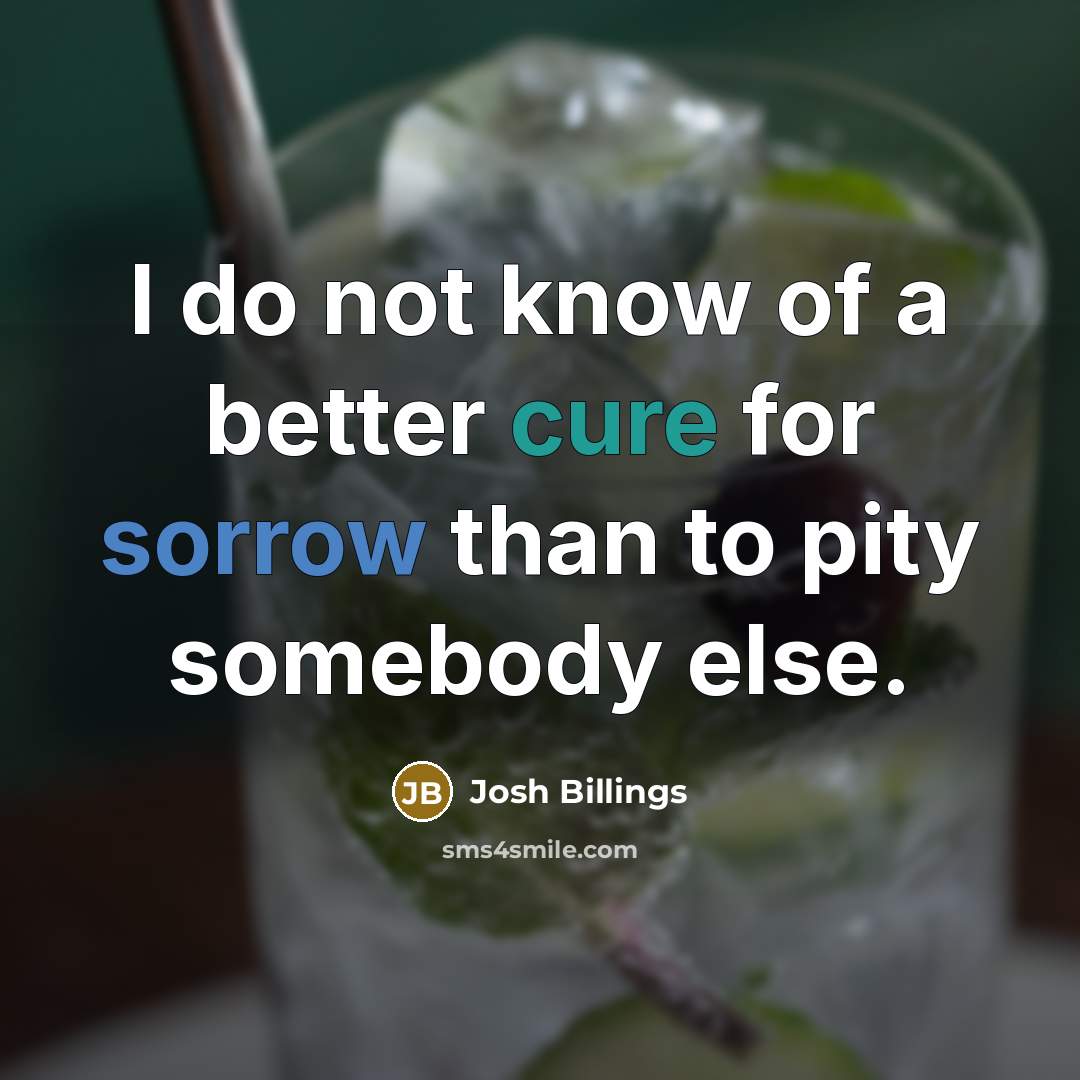 “I do not know of a better cure for sorrow…” quote by Josh Billings