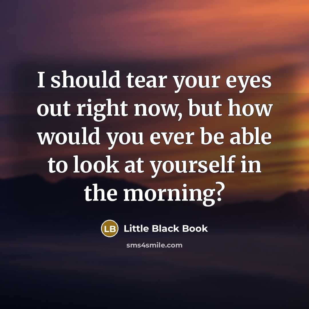 “I should tear your eyes out right now, but how would you ever be able to look at yourself in the morning?” quote by Little Black Book