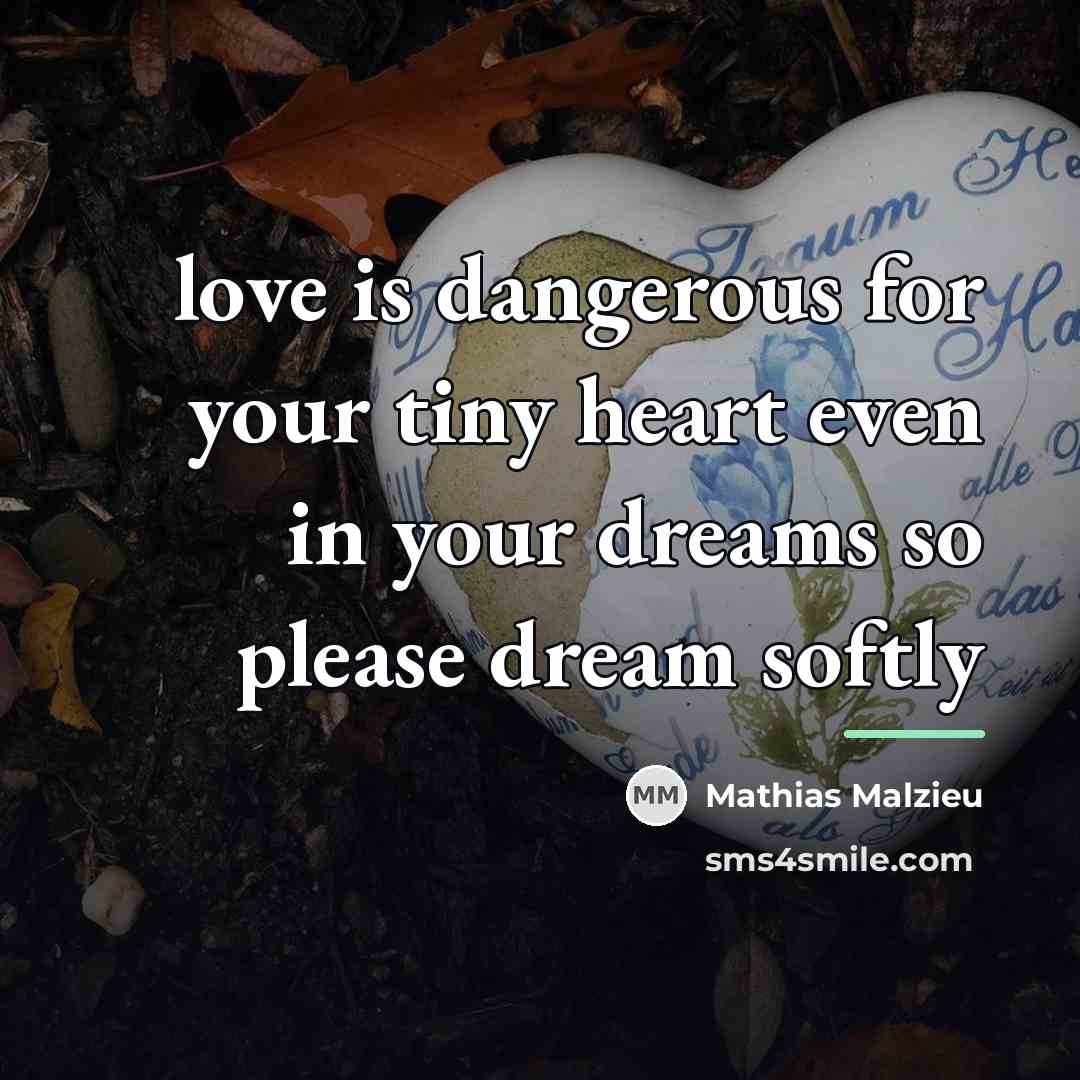 “love is dangerous for your tiny heart even in your…” quote by Mathias Malzieu