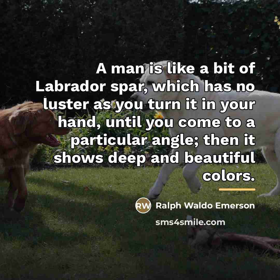 “A man is like a bit of Labrador spar, which…” quote by Ralph Waldo Emerson