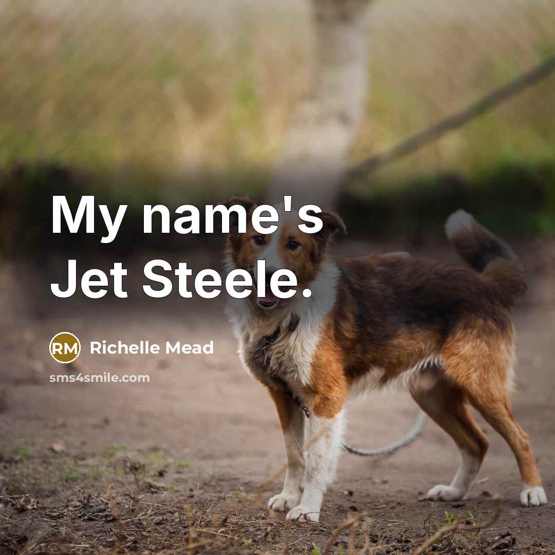 “My name's Jet Steele.…” quote by Richelle Mead