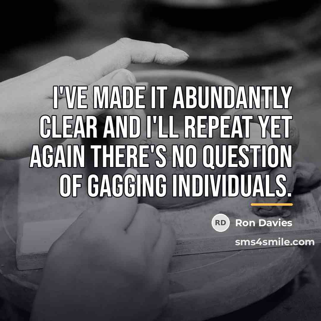 “I've made it abundantly clear and I'll repeat yet again…” quote by Ron Davies