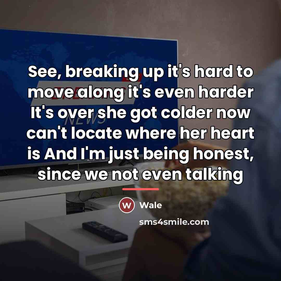 “See, breaking up it's hard to move along it's even…” quote by Wale