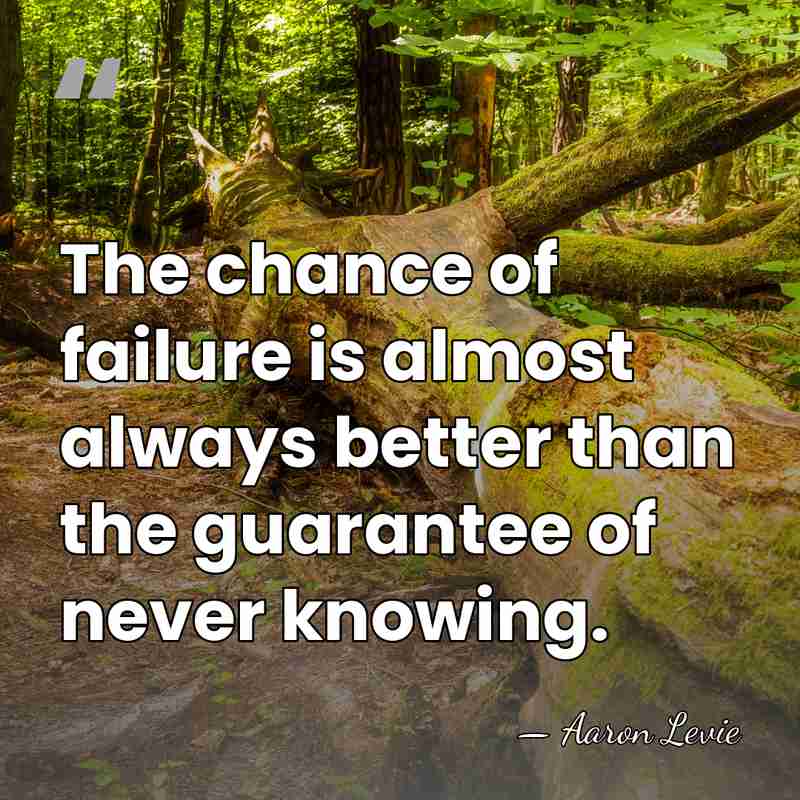 The chance of failure is almost always better than the guarantee of&hellip; - Aaron Levie