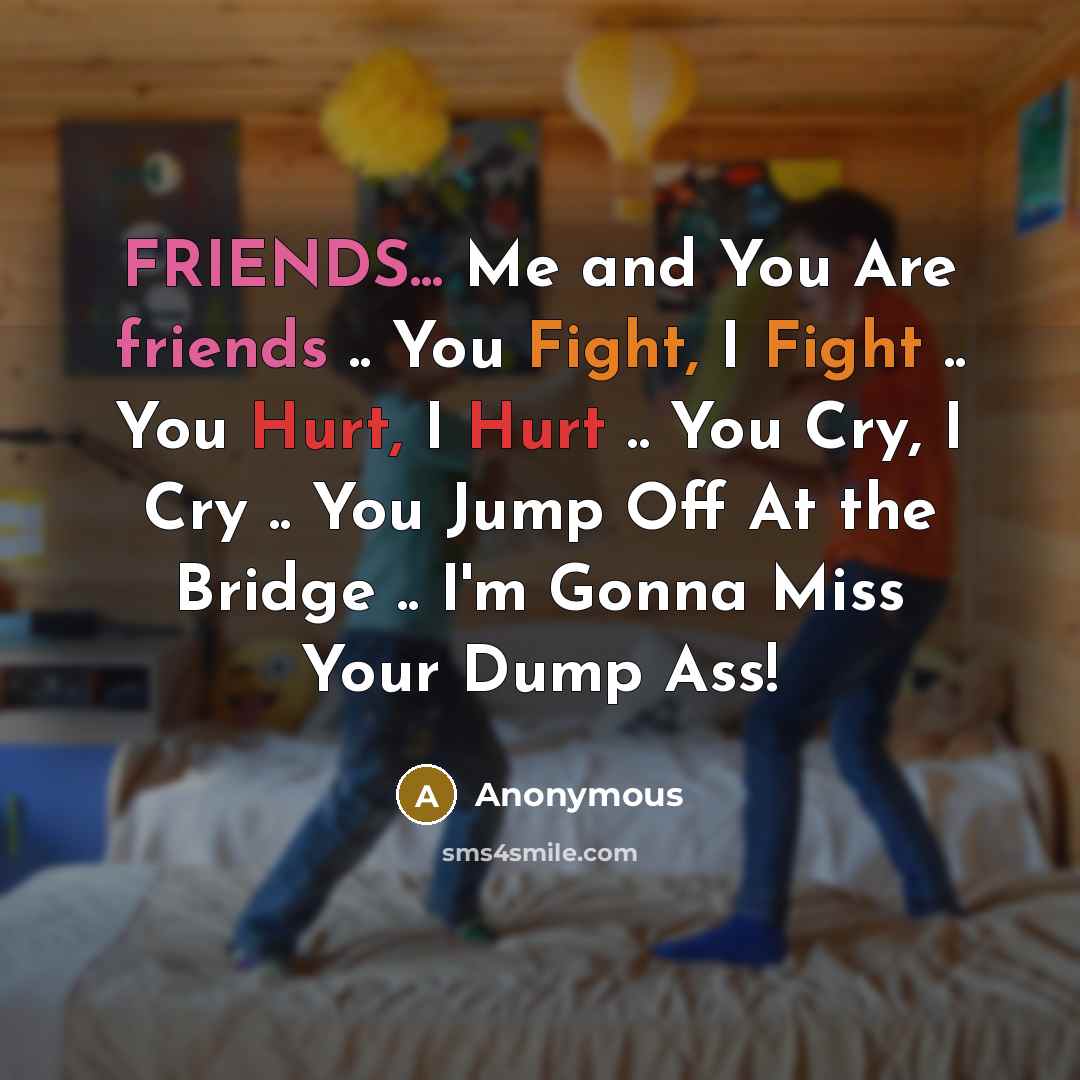 “FRIENDS... Me and You Are friends .. You Fight, I Fight .. You Hurt, I Hurt .. You Cry, I Cry .. You Jump Off At the Bridge .. I'm Gonna Miss Your Dump Ass!” quote by Anonymous