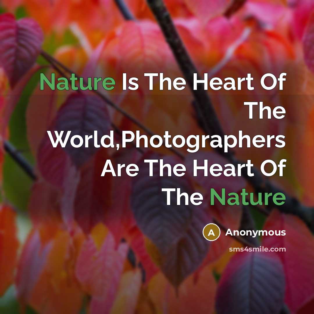 “Nature Is The Heart Of The World,Photographers Are The Heart…” quote by Anonymous