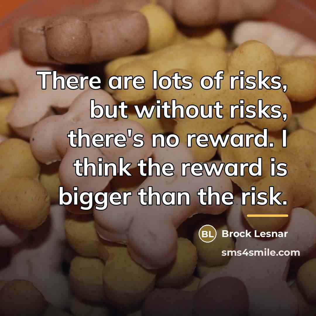 “There are lots of risks, but without risks, there's no…” quote by Brock Lesnar