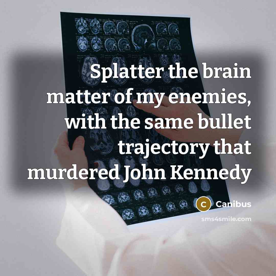 “Splatter the brain matter of my enemies, with the same…” quote by Canibus