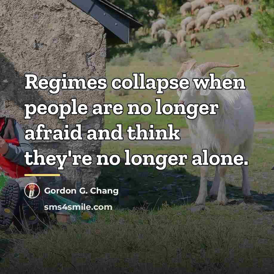 “Regimes collapse when people are no longer afraid and think…” quote by Gordon G. Chang