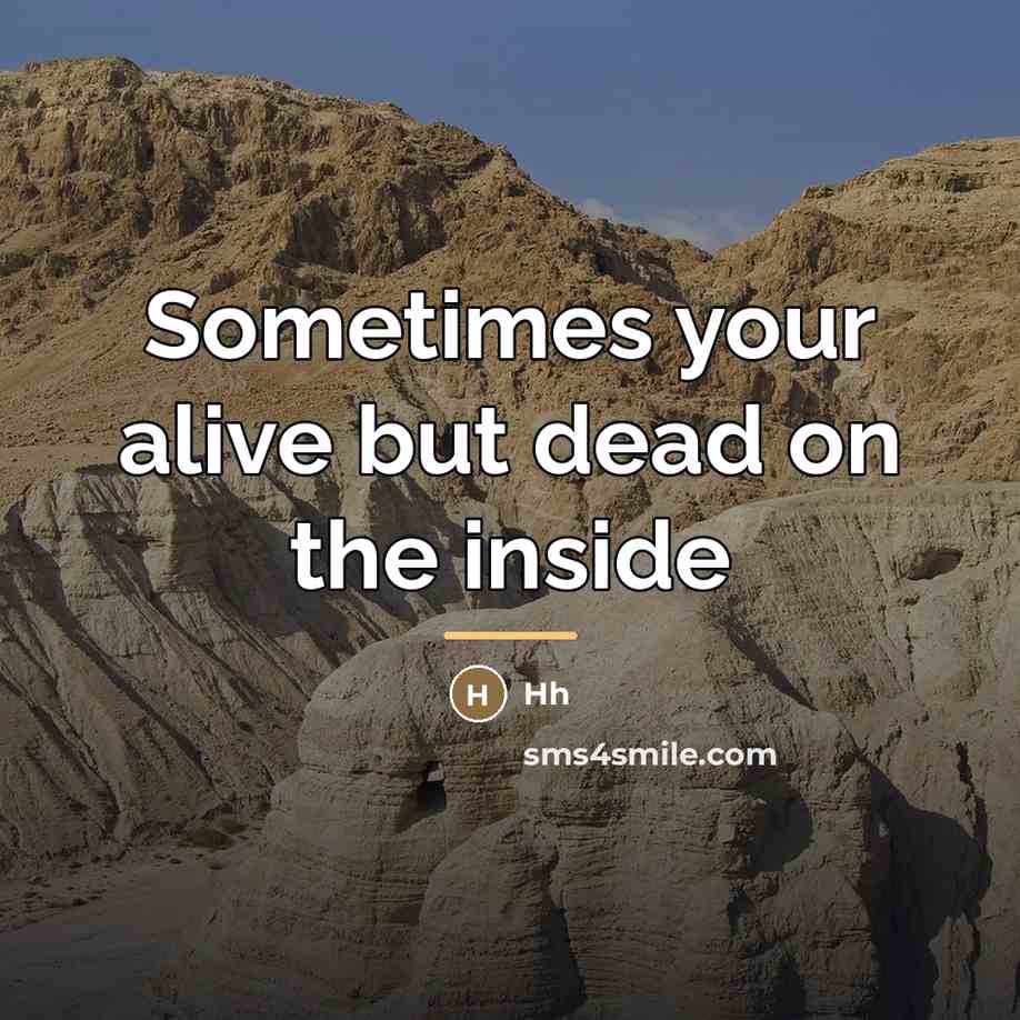 “Sometimes your alive but dead on the inside…” quote by Hh