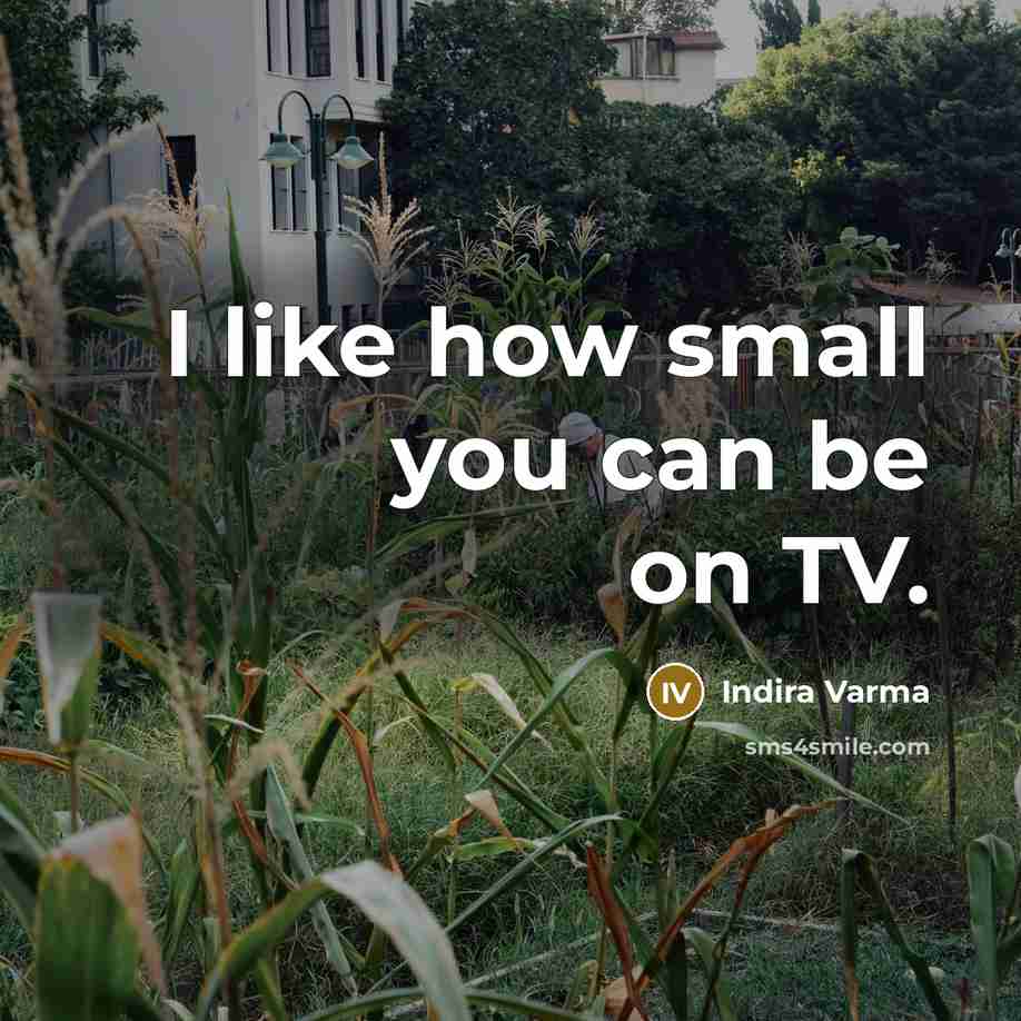 “I like how small you can be on TV.…” quote by Indira Varma