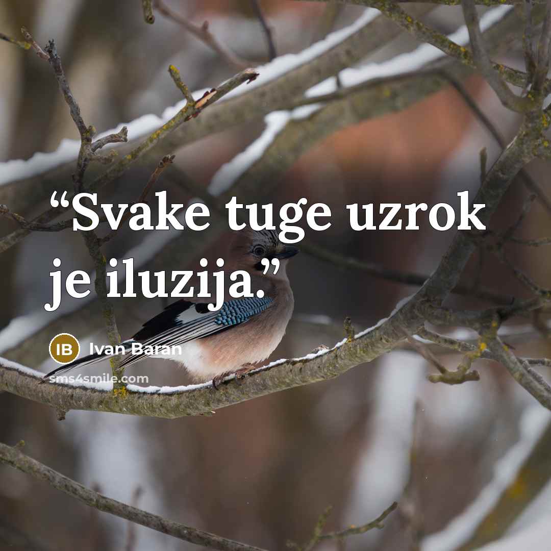 “Svake tuge uzrok je iluzija.” quote by Ivan Baran