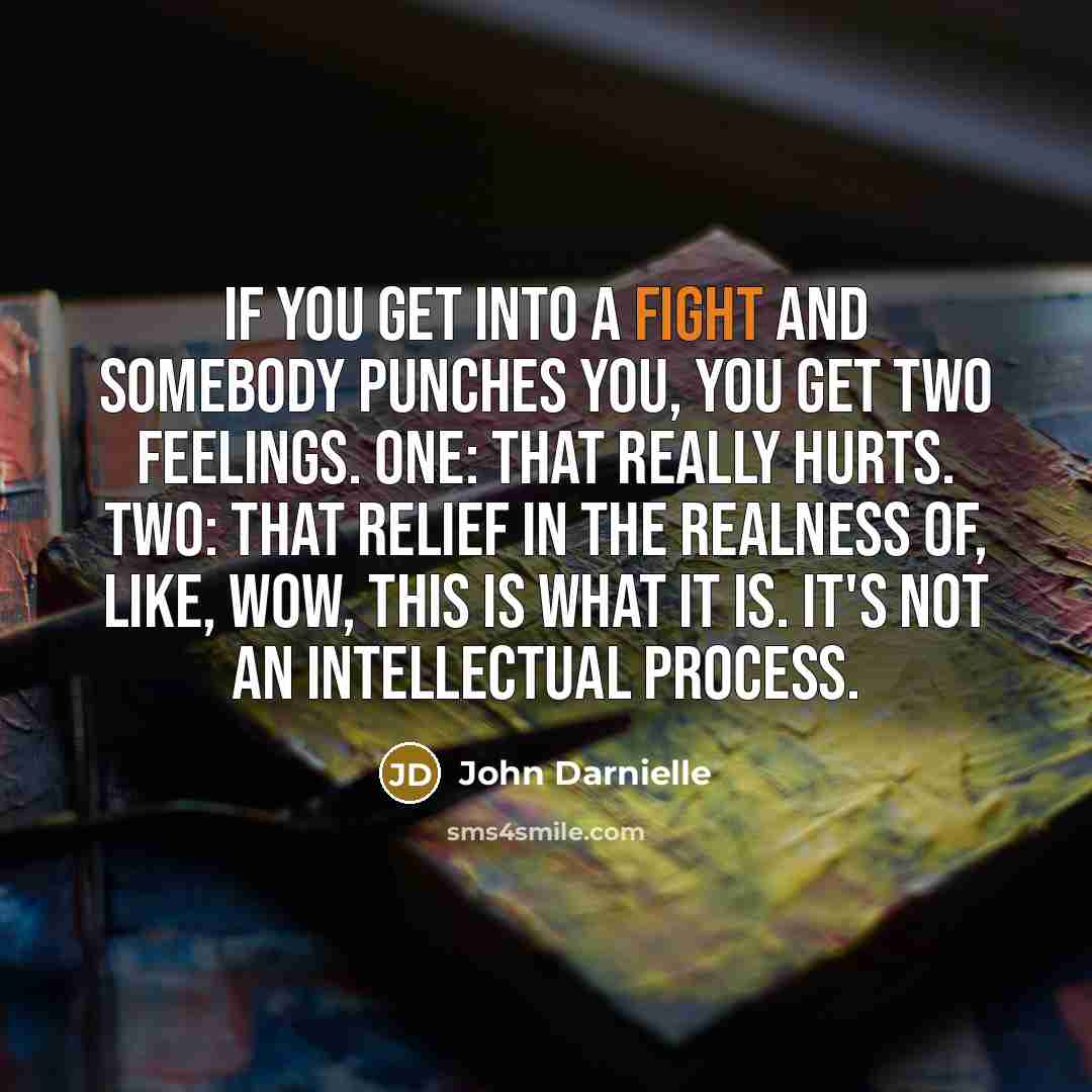 “If you get into a fight and somebody punches you,…” quote by John Darnielle