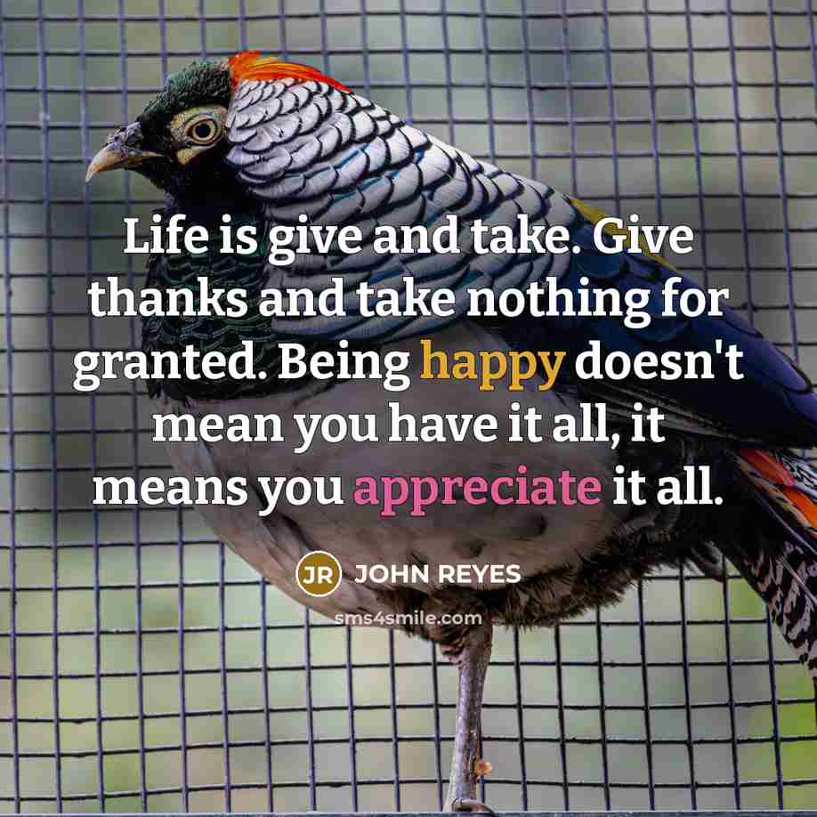 “Life is give and take. Give thanks and take nothing for granted. Being happy doesn't mean you have it all, it means you appreciate it all.” quote by John Reyes