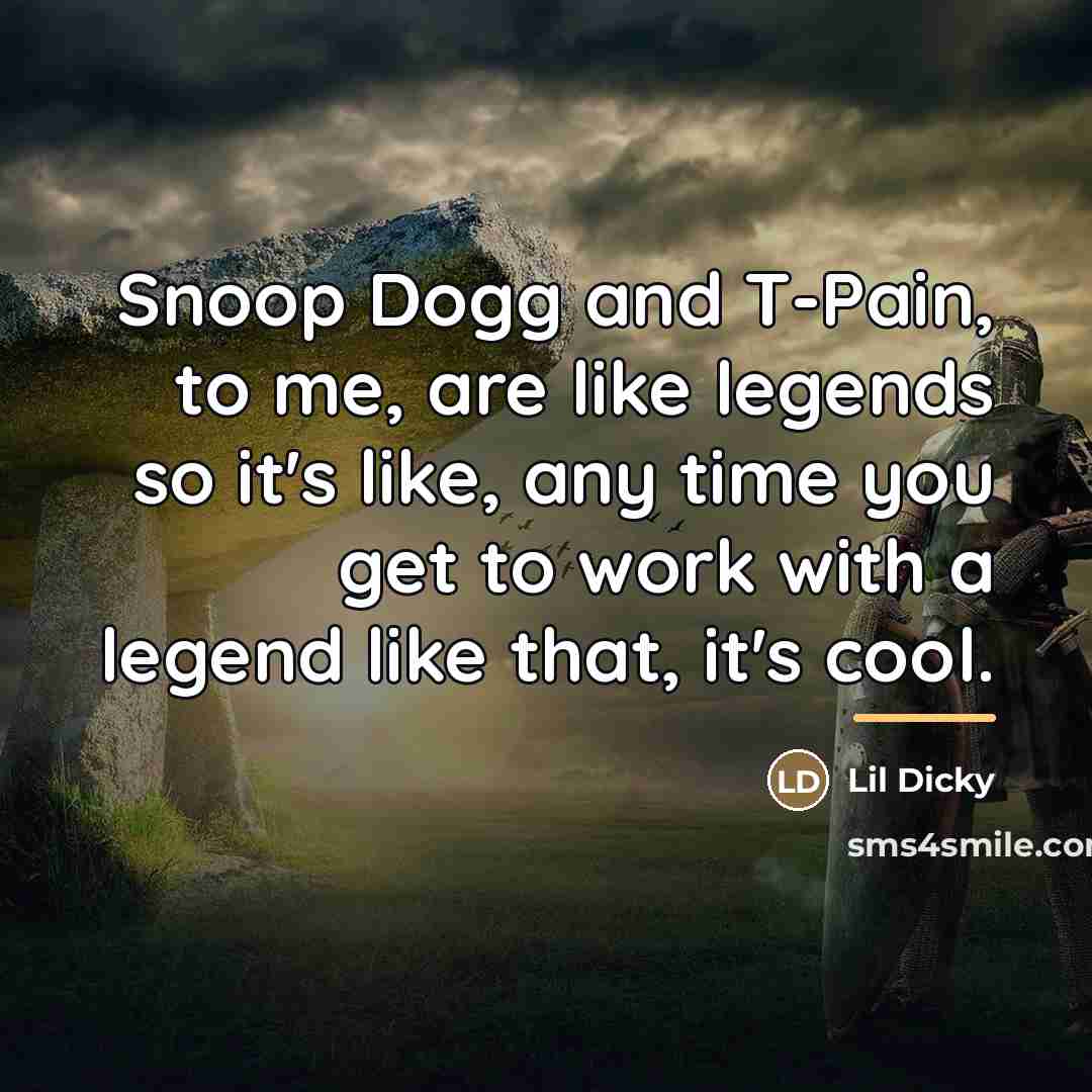 “Snoop Dogg and T-Pain, to me, are like legends so…” quote by Lil Dicky