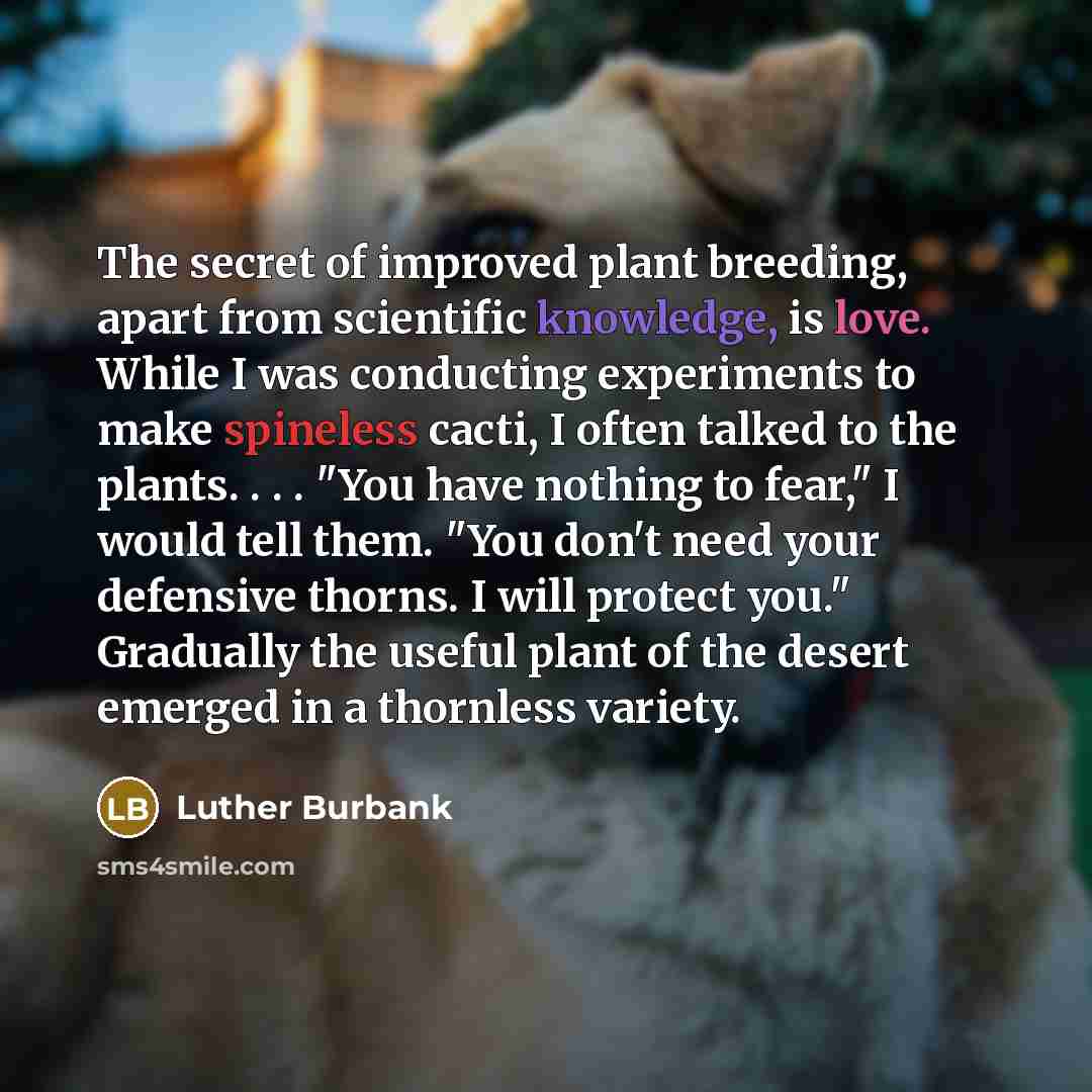 “The secret of improved plant breeding, apart from scientific knowledge,…” quote by Luther Burbank