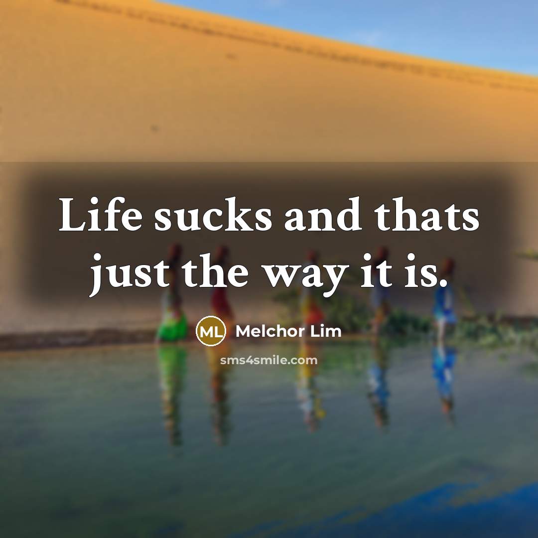 “Life sucks and thats just the way it is.…” quote by Melchor Lim