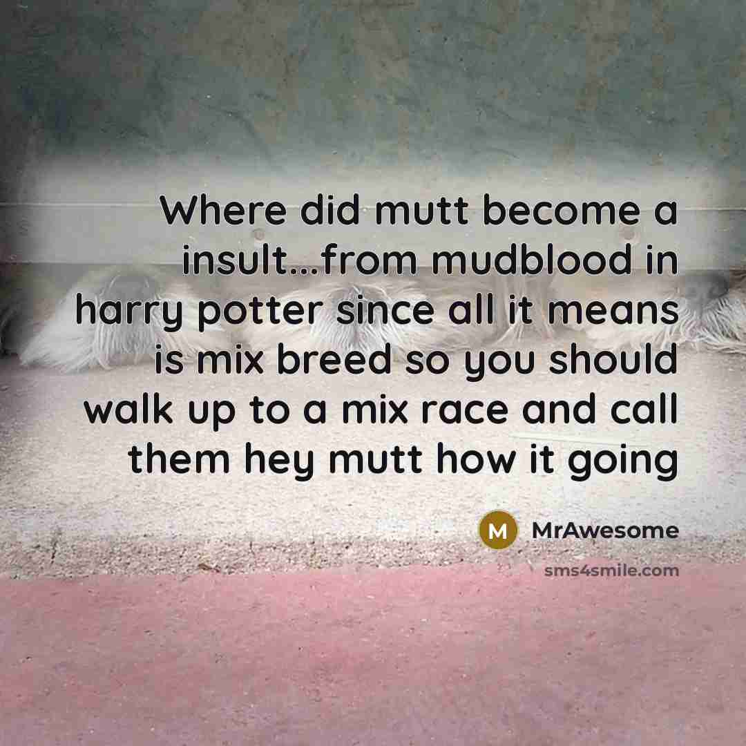 “Where did mutt become a insult...from mudblood in harry potter since all it means is mix breed so you should walk up to a mix race and call them hey mutt how it going” quote by MrAwesome
