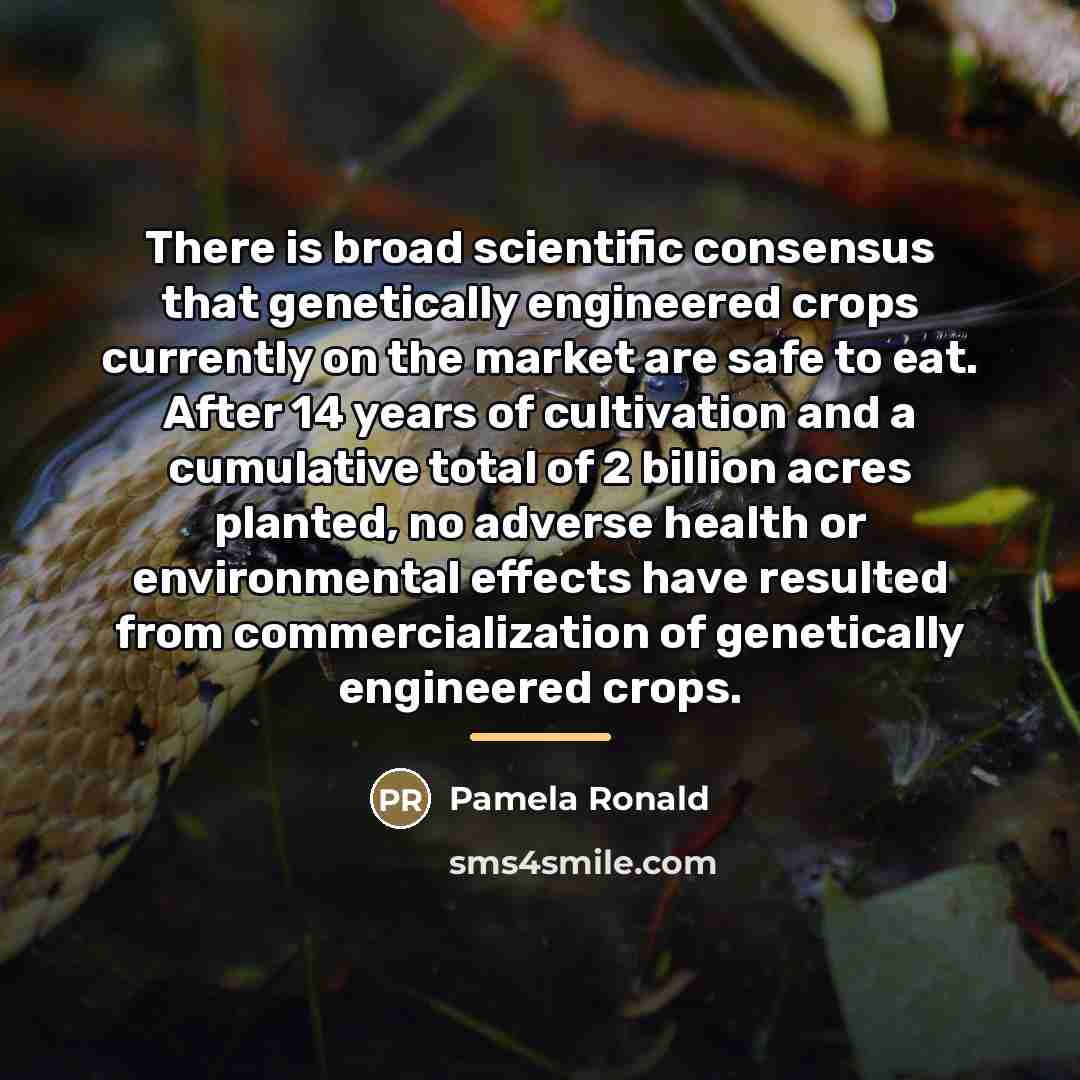 “There is broad scientiﬁc consensus that genetically engineered crops currently…” quote by Pamela Ronald