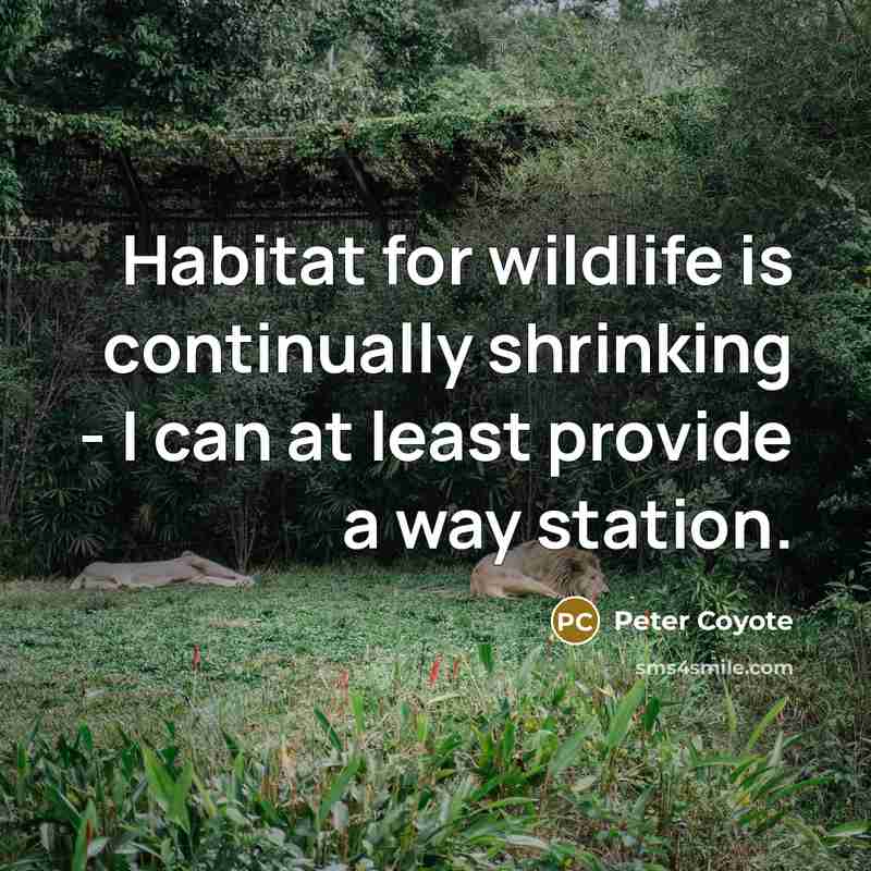 “Habitat for wildlife is continually shrinking - I can at…” quote by Peter Coyote
