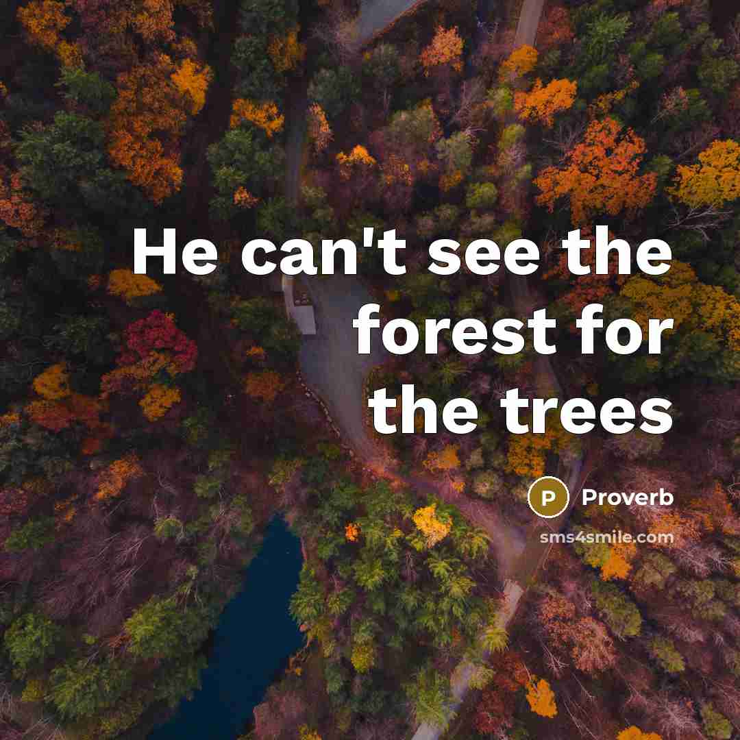 “He can't see the forest for the trees” quote by Proverb