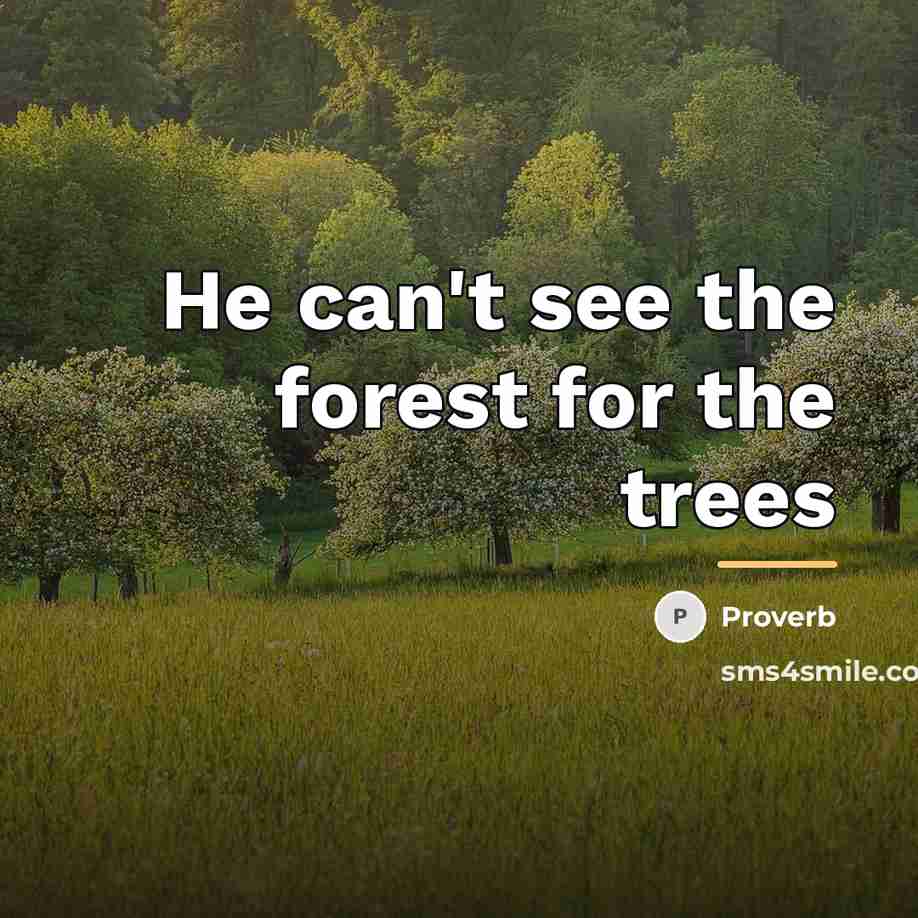 “He can't see the forest for the trees…” quote by Proverb