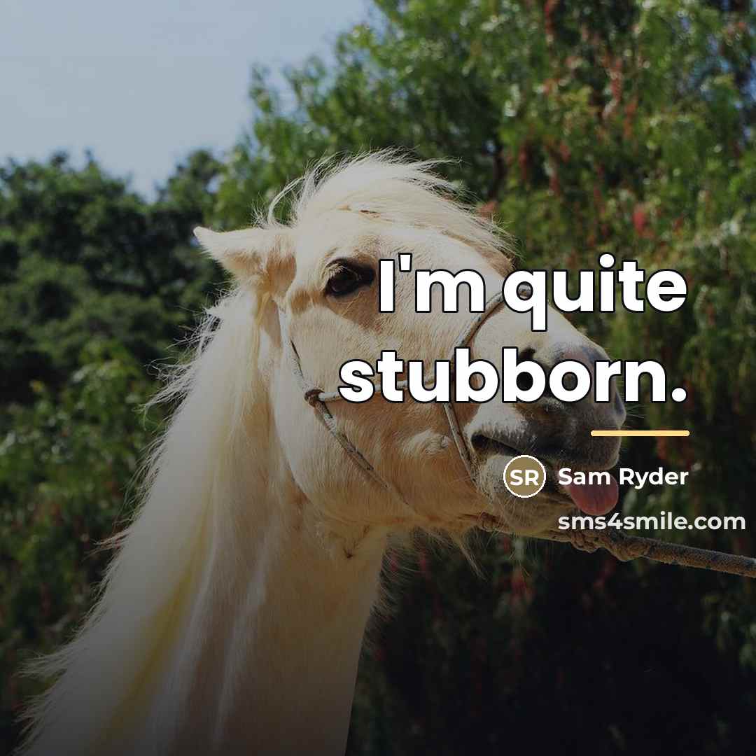 “I'm quite stubborn.…” quote by Sam Ryder