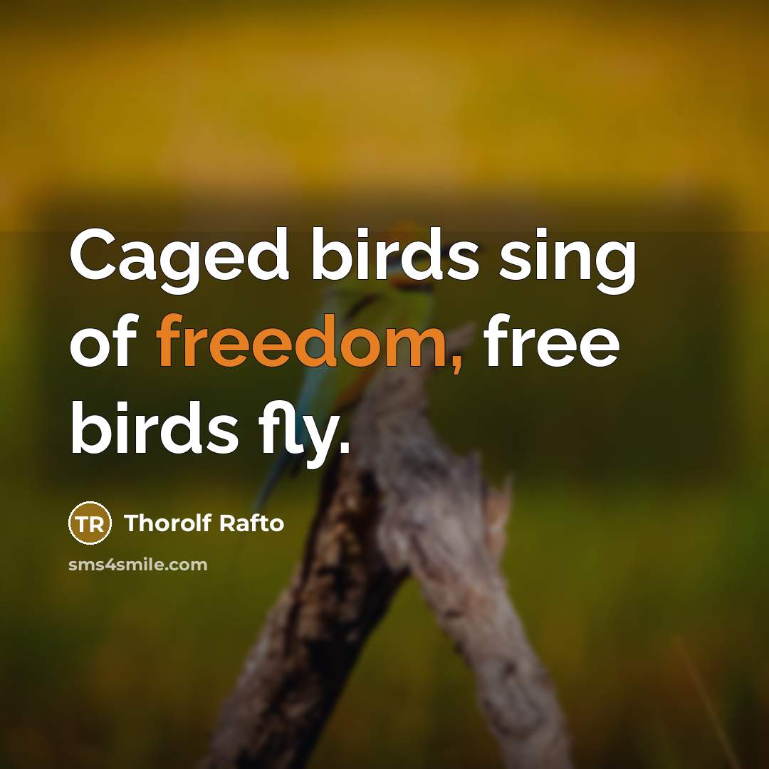 “Caged birds sing of freedom, free birds fly.” quote by Thorolf Rafto