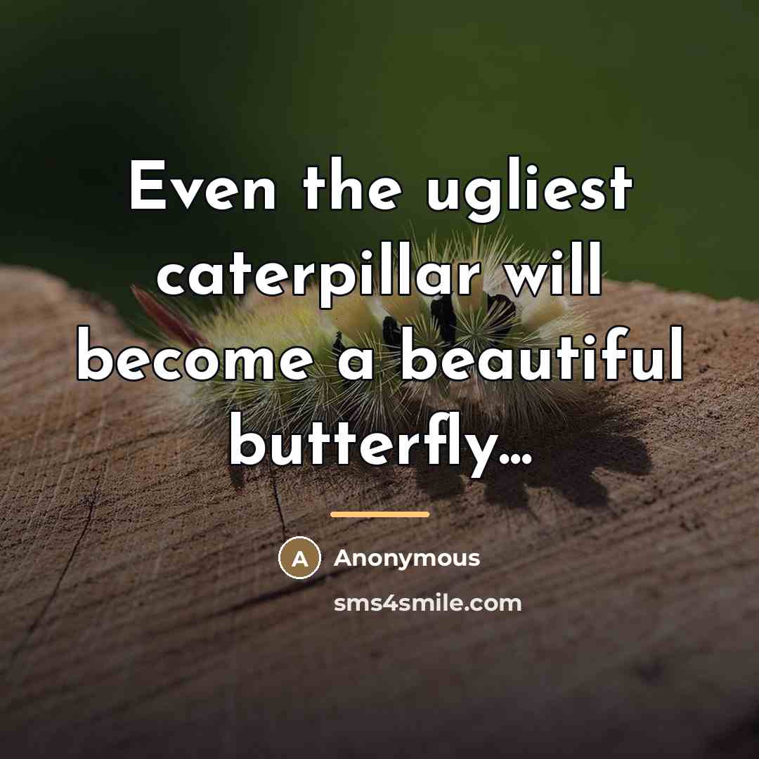 “Even the ugliest caterpillar will become a beautiful butterfly...…” quote by Anonymous