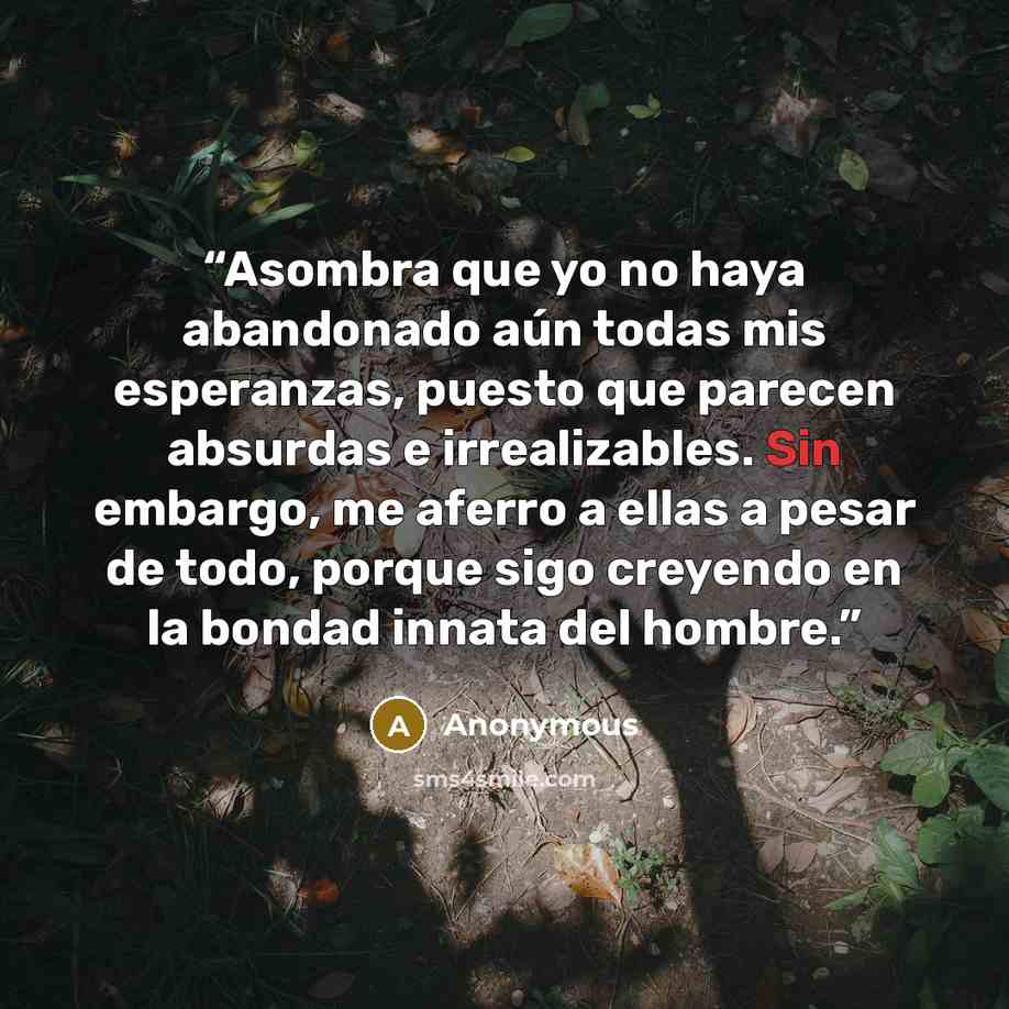 “Asombra que yo no haya abandonado aún todas mis esperanzas, puesto que parecen absurdas e irrealizables. Sin embargo, me aferro a ellas a pesar de todo, porque sigo creyendo en la bondad innata del hombre.” quote by Anonymous