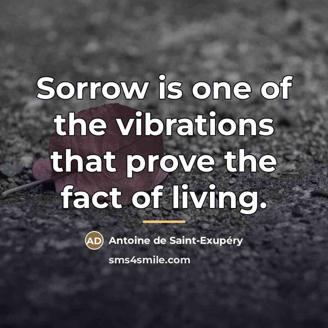 “Sorrow is one of the vibrations that prove the fact…” quote by Antoine de Saint-Exupery