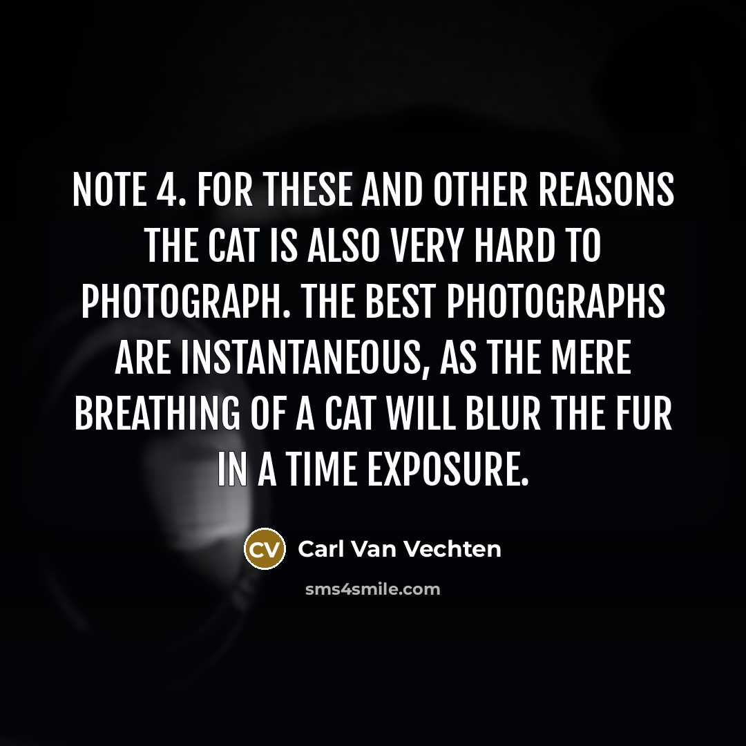 “Note 4. For these and other reasons the cat is…” quote by Carl Van Vechten