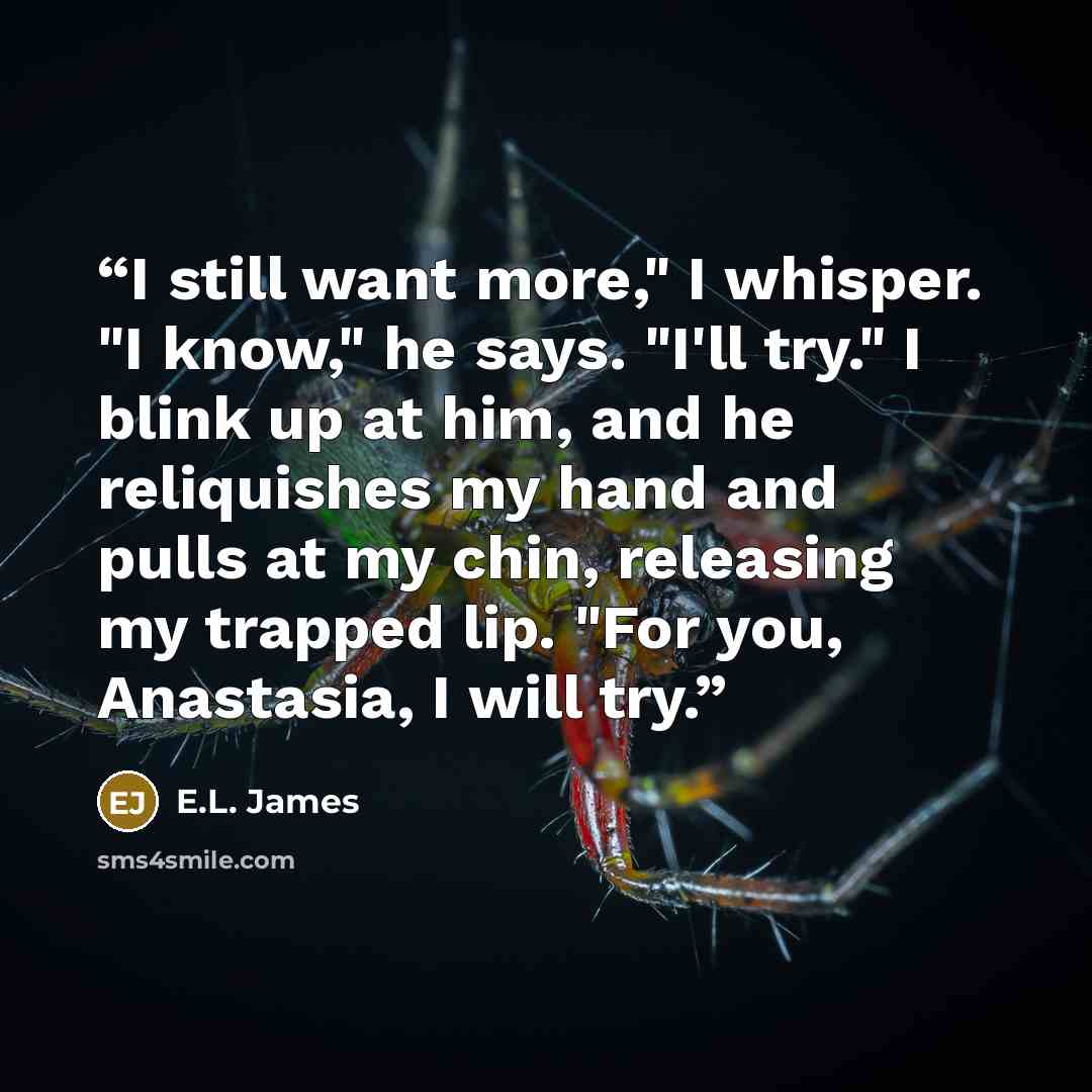 “I still want more," I whisper. "I know," he says. "I'll try." I blink up at him, and he reliquishes my hand and pulls at my chin, releasing my trapped lip. "For you, Anastasia, I will try.” quote by E.L. James