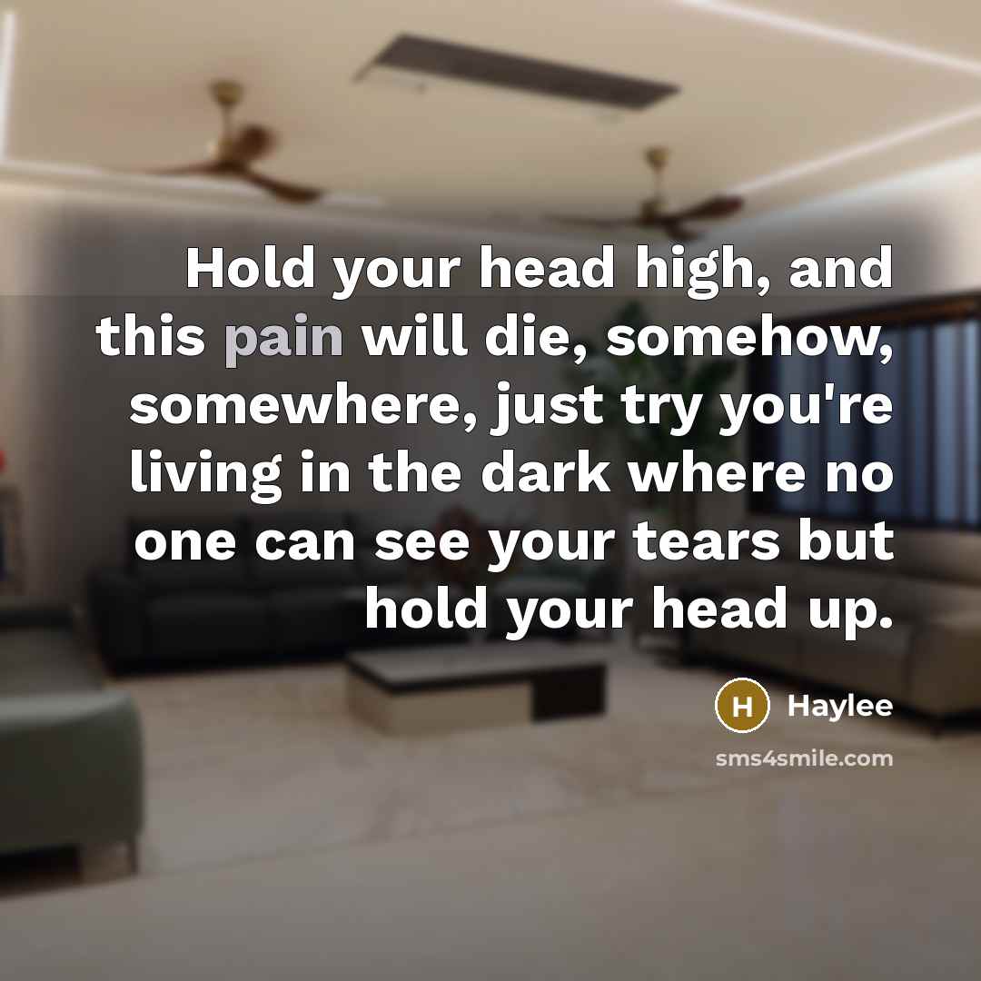 “Hold your head high, and this pain will die, somehow,…” quote by Haylee