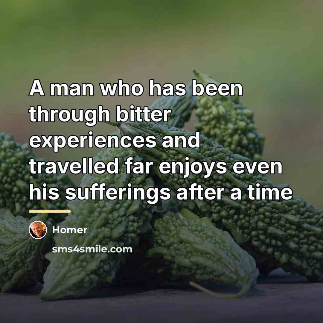 “A man who has been through bitter experiences and travelled…” quote by Homer