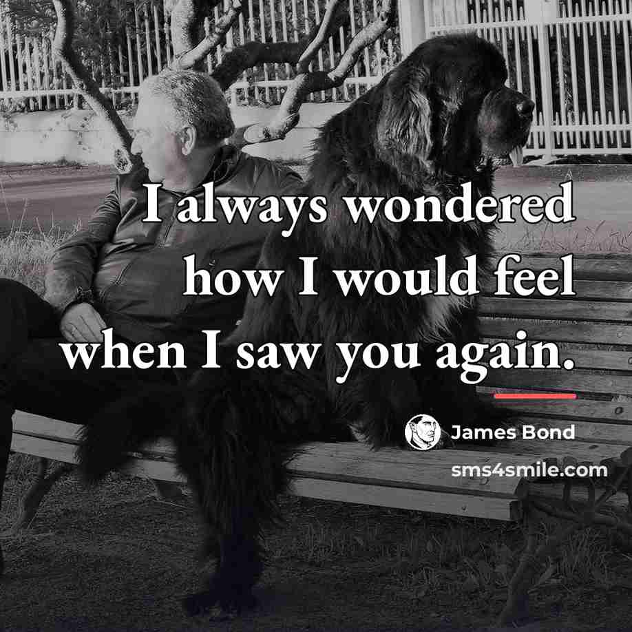 “I always wondered how I would feel when I saw…” quote by James Bond