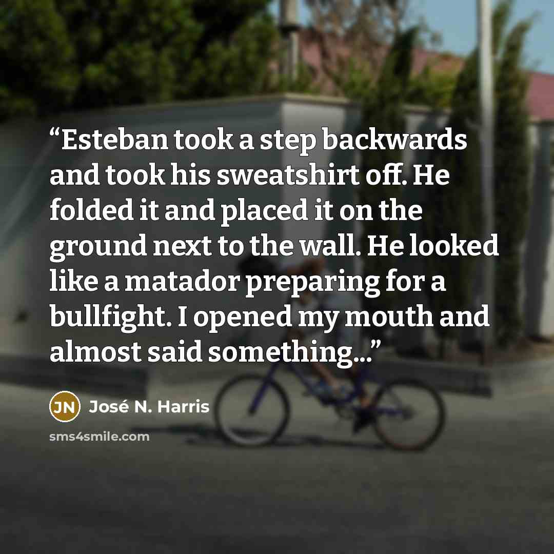 “Esteban took a step backwards and took his sweatshirt off. He folded it and placed it on the ground next to the wall. He looked like a matador preparing for a bullfight. I opened my mouth and almost said something...” quote by José N. Harris
