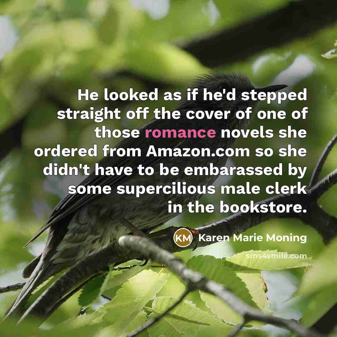 “He looked as if he'd stepped straight off the cover…” quote by Karen Marie Moning
