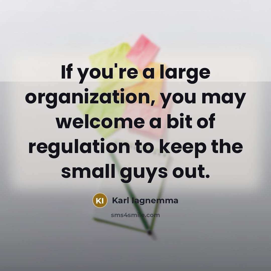 “If you're a large organization, you may welcome a bit…” quote by Karl Iagnemma