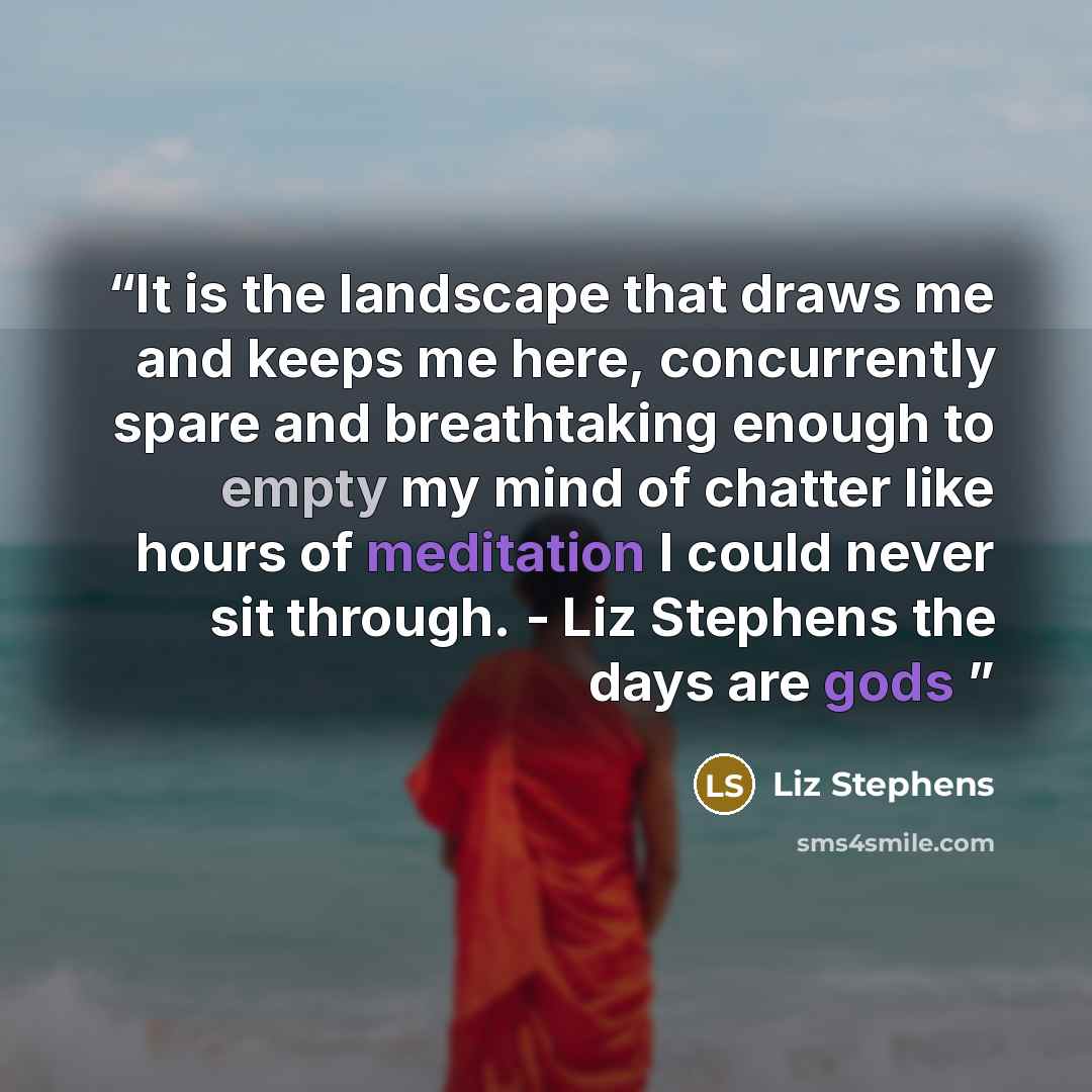 “It is the landscape that draws me and keeps me here, concurrently spare and breathtaking enough to empty my mind of chatter like hours of meditation I could never sit through. - Liz Stephens the days are gods” quote by Liz Stephens