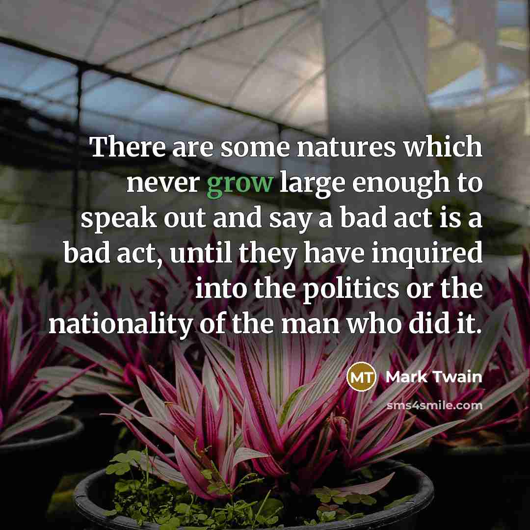 “There are some natures which never grow large enough to…” quote by Mark Twain